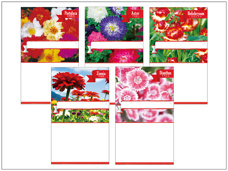 広告入り種子（スタンダード）<br />
＜花春＞