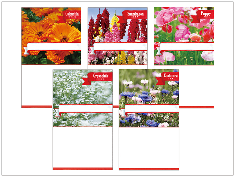 広告入り種子（スタンダード）<br />
＜花秋＞