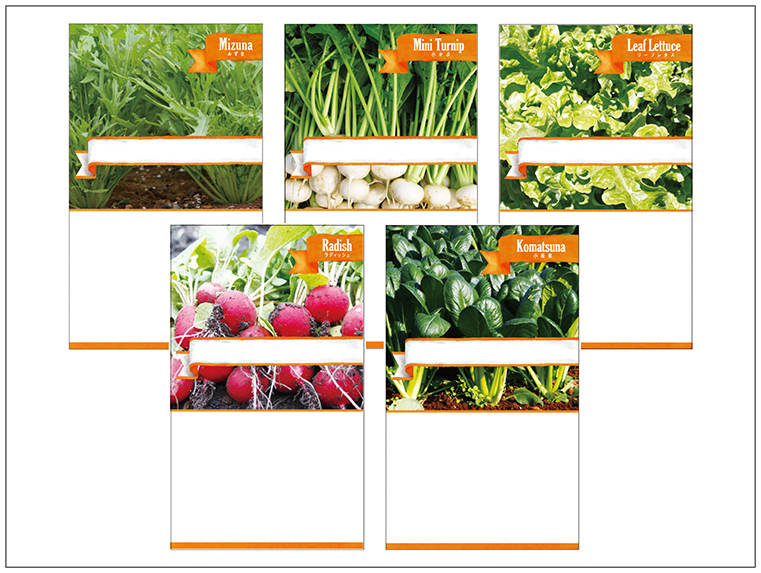 広告入り種子（スタンダード）<br />
＜野菜＞