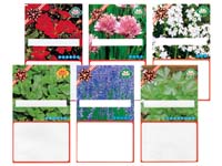 広告入り種子（ハーブ）