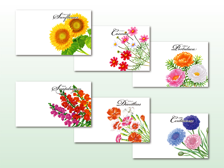 横型イラスト種子（スタンダード）