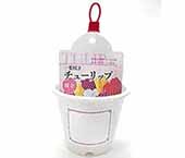 季節の球根と鉢セットL