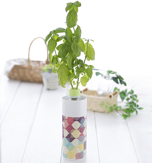 ペットボトル水耕栽培キット